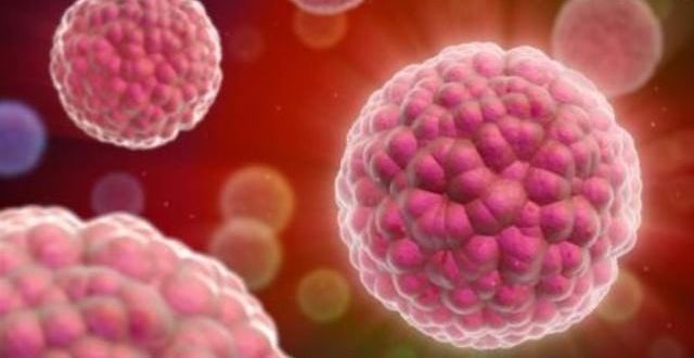 Traiter le cancer en utilisant le système immunitaire